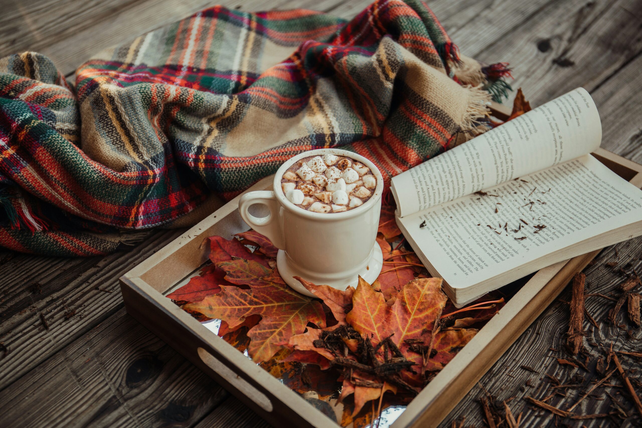 Ways to Make Your House Cozy for Fall Showings